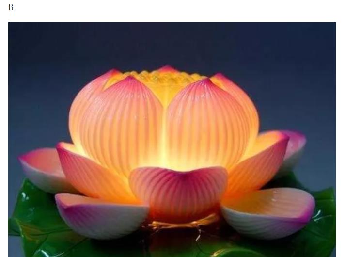 1576998260877915.jpg 6.jpg