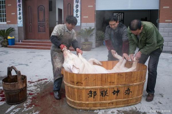 十二月份杀猪吉日 十二月份杀猪吉日