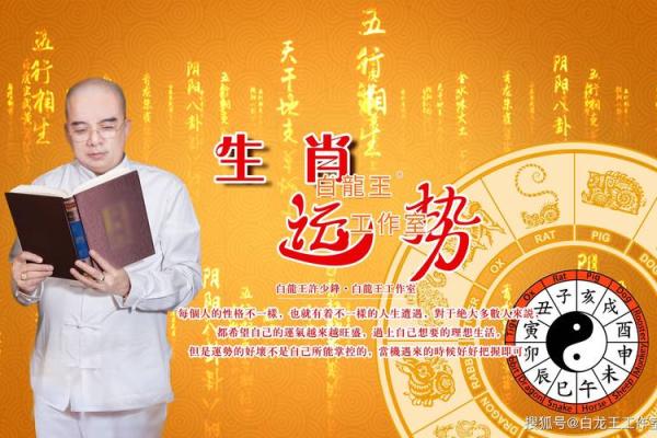 玉兔出宫打一正确生肖(玉兔出宫打一个最准生肖)