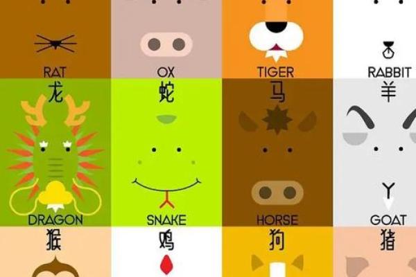汗马功劳是什么生肖(汗马功劳的生肖是什么生肖)