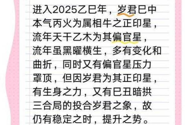 金牛座的运势2025_2025年金牛座运势详解财运爱情与事业全面解析