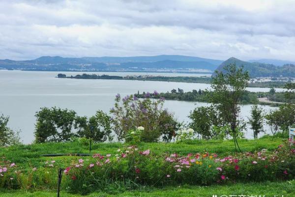 五湖四海打一生肖