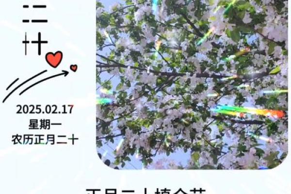 水满金山钱满仓打一个生肖(水满金山钱满仓打一个生肖是什么)