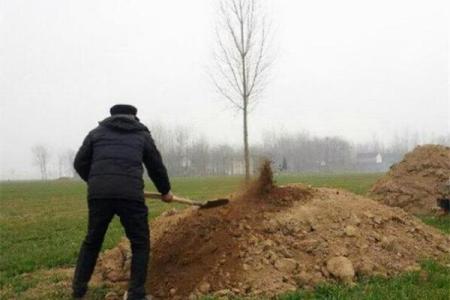 坟地动土有何讲究(坟地动土有何讲究方向)