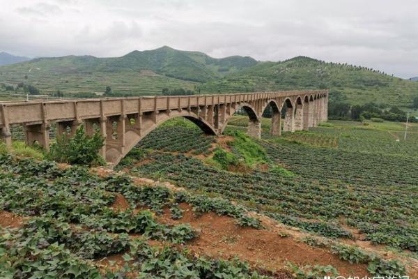 风餐露宿打一生肖(风餐露宿打个生肖)