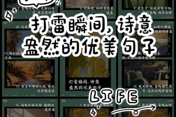 原野狂舞是什么生肖(原野狂舞猜生肖) 原野狂舞是什么生肖(原野狂舞猜生肖)
