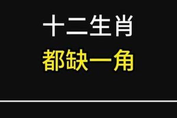 欲钱买媳妇是什么生肖 欲钱买媳妇是什么生肖