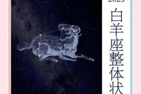 2025年属羊白羊座运势 白羊座2024年全年运势