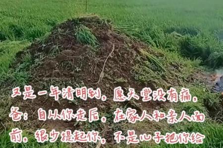 祖坟动土的禁忌