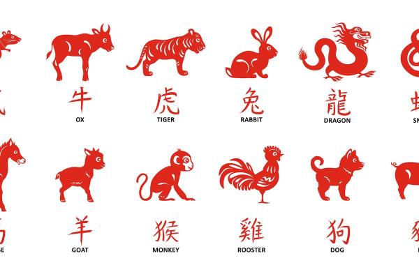 任人摆布打一准确生肖是什么(任人摆布是哪种人)