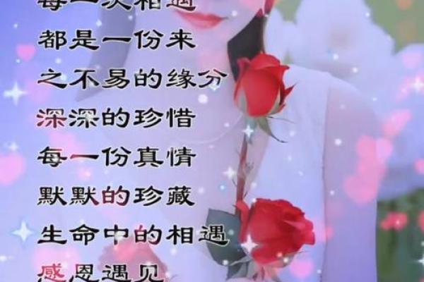 2002年属马人何时遇真爱揭秘最佳年龄与缘分时机