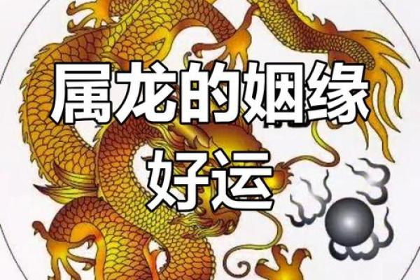 属龙今年的运势 属龙今年桃花运势如何