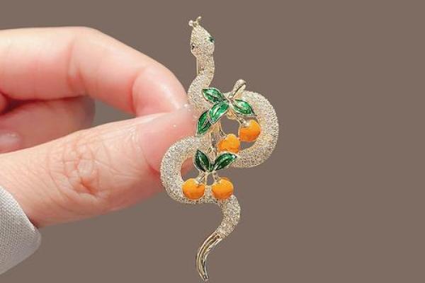 2025属蛇戴什么运气好一点_2025年正月属蛇佩戴什么饰物最旺运