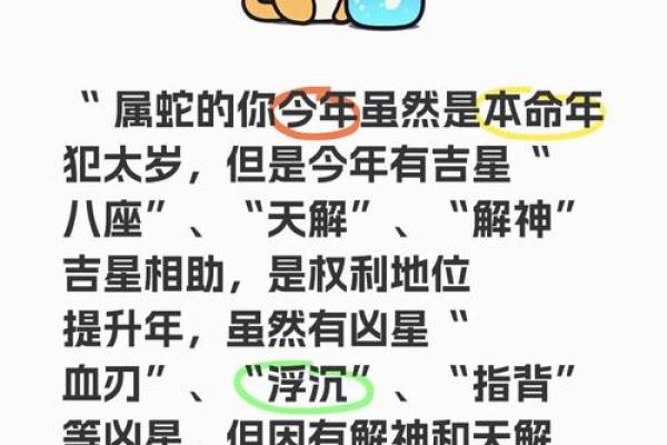 2025属蛇本命年可以结婚吗_属蛇的2026年结婚选择哪个月份