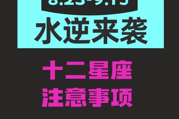 2023年12星座每月运势第一星座网_20212023星座运势