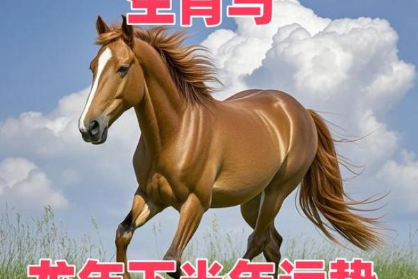 属马的人2024年运势及运程 2024年属马人运势全解析全年运程预测与每月运势指南