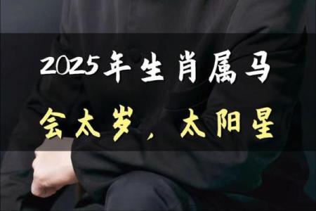 2025年属马的多大_2025年属马的多大了