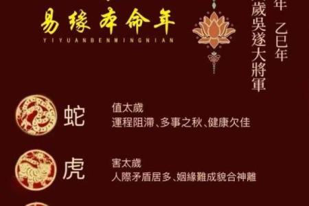 2025年属马的犯太岁吗_2025年属马犯太岁吗为什么