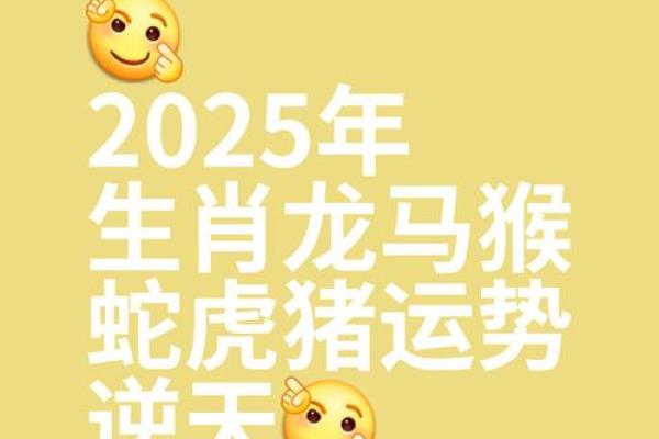 2025年属龙多大了_2025年属龙人的全年每月 2025年属龙多大了_2025年属龙人的全年每月