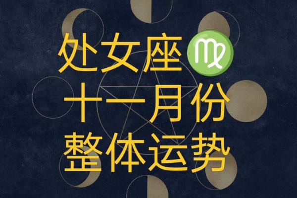 星座处女座运势_2024年处女座运势详解事业爱情双丰收