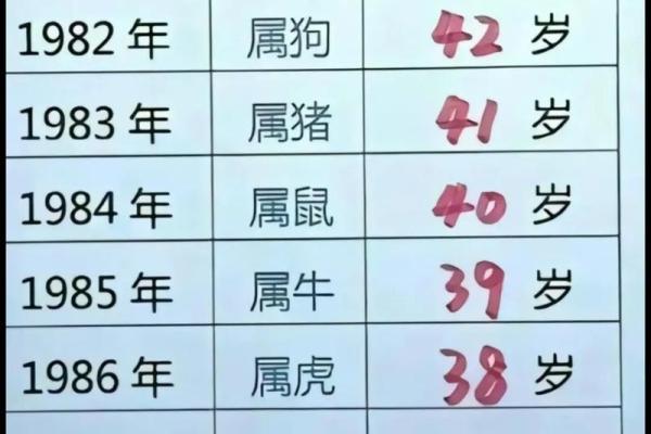 属龙几点出生大富大贵 属龙男孩出生的四个最佳时辰 属龙几点出生大富大贵 属龙男孩出生的四个最佳时辰