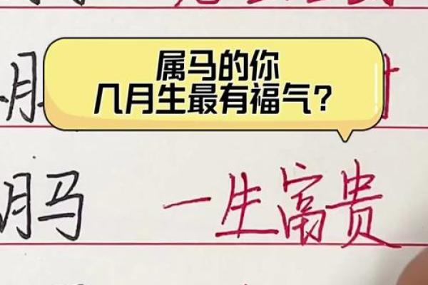 2002年属马的几月出生最好_2002年属马的几月出生最好命