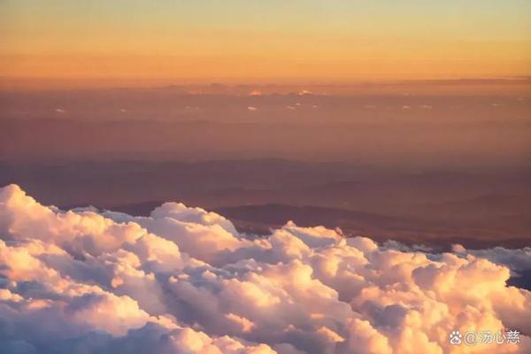 四海扬帆打一个生肖(1630四海扬帆)