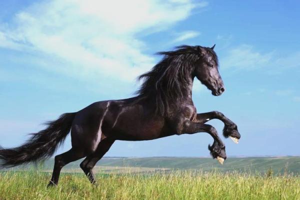 1978年属马的交运在几点时间点_1978年属马的什么时候能转运