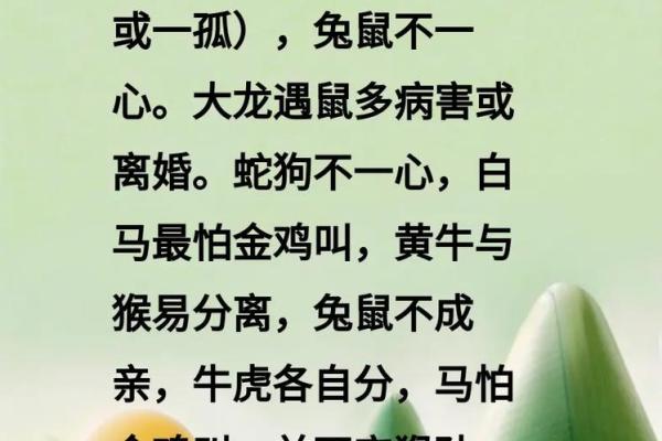 落地生根代表什么生肖(落地生根是什么生肖啊) 落地生根代表什么生肖(落地生根是什么生肖啊)