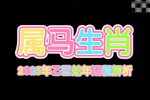 属马的人2025年运势_2025年属马人运势详解财运事业运程全预测