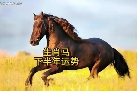 今年属马的财运和运气如何_2024年属马人运势解析财运如何全年运程大揭秘