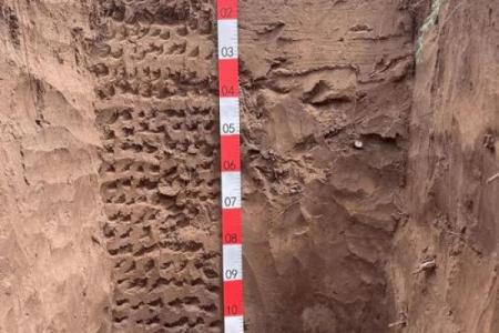 初一十五能动土吗