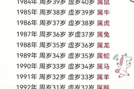 属龙的2025多大了_属龙人的年龄表