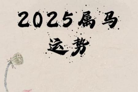 2025年属马人运势全解析事业腾飞财运开运指南