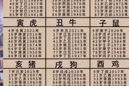 属蛇的2025年多少岁_2025年属蛇人年龄对照表及每月运程全解析