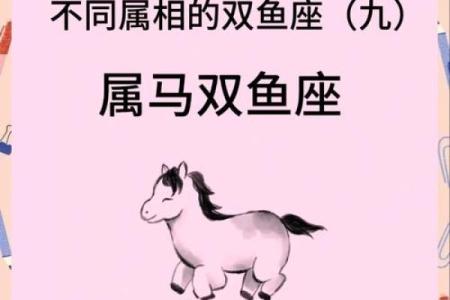 2002年属马的运势 2002年属马人2024年运势解析全年运程详解