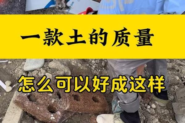 动土指的是什么(哪些行为算动土) 动土指的是什么(哪些行为算动土)