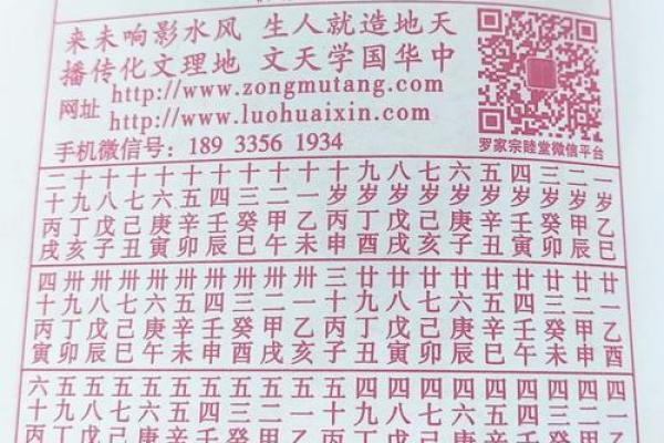 2025属蛇的女性大忌 2025年农历正月生肖蛇女三大禁忌全解析