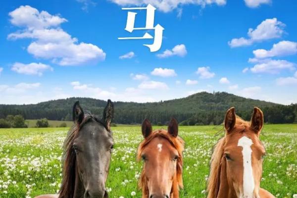 78年属马女47岁2025劫难_78年属马女47岁2025劫难预警如何化解运势危机 78年属马女47岁2025劫难_78年属马女47岁2025劫难预警如何化解运势危机