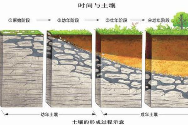动土和破土是什么意思区别 动土和破土是什么意思区别