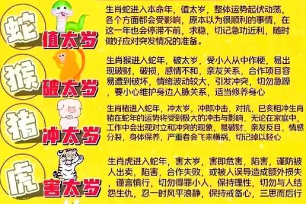 属羊2025年运程 属羊人2025年全年运势 属羊2025年运程 属羊人2025年全年运势