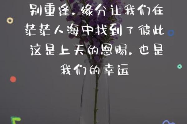 缘分的句子经典_缘分经典短句