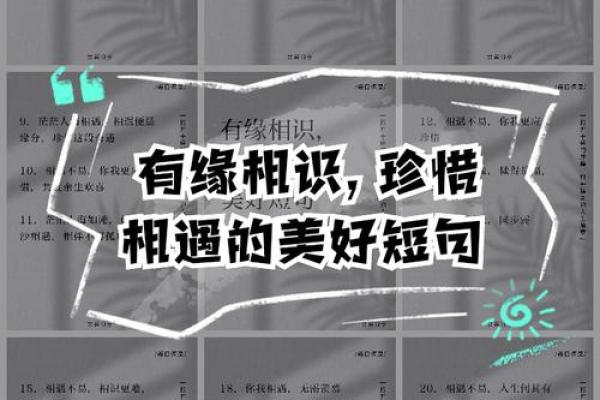 缘分的句子经典_缘分经典短句