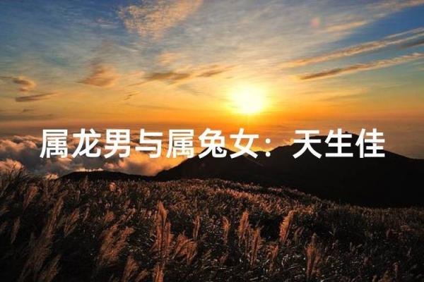 女孩属龙男孩属兔婚配好吗_女生属龙和男生属兔的婚姻相配吗