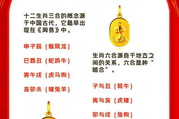 属蛇和属猪做生意合财吗_属蛇和属猪做生意合财吗财运解析与合作建议