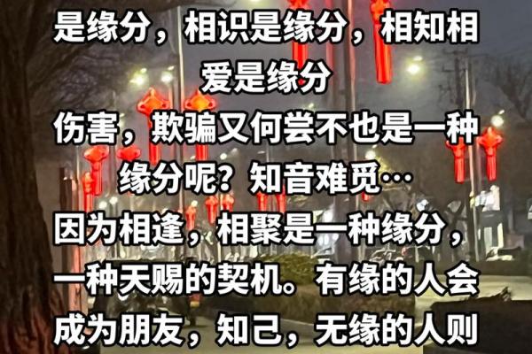 缘分是什么意思_缘分是什么意思揭秘缘分的真正含义与奥秘