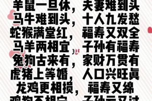 1987年属兔的最佳婚配_属兔的最佳婚配属相表大全