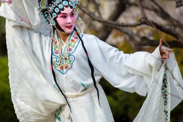 青衣乌帽指什么生肖(青衣小帽什么意思) 青衣乌帽指什么生肖(青衣小帽什么意思)