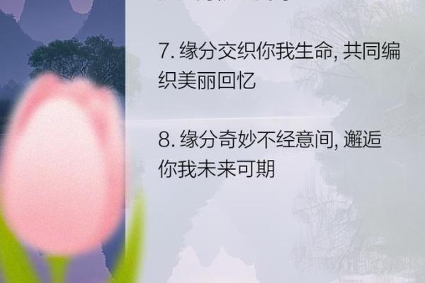 缘分让我认识你 缘分让我认识你一段奇妙相遇的故事