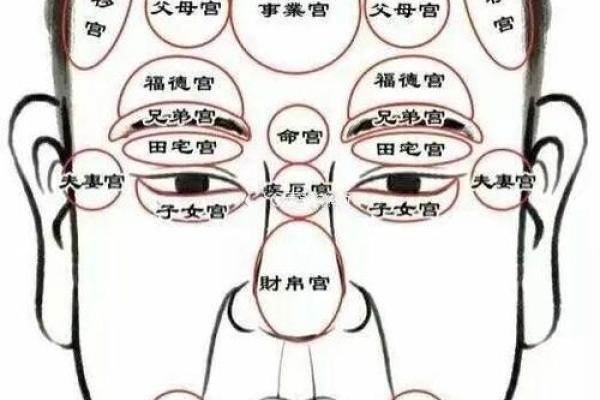 福德宫紫微天相得_福德宫紫微天相得命理解析与运势预测